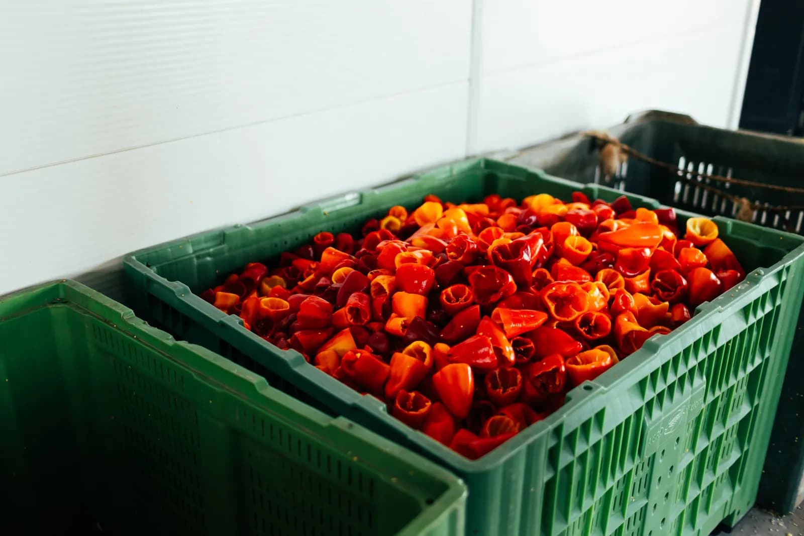 A green crate filled with red peppers.