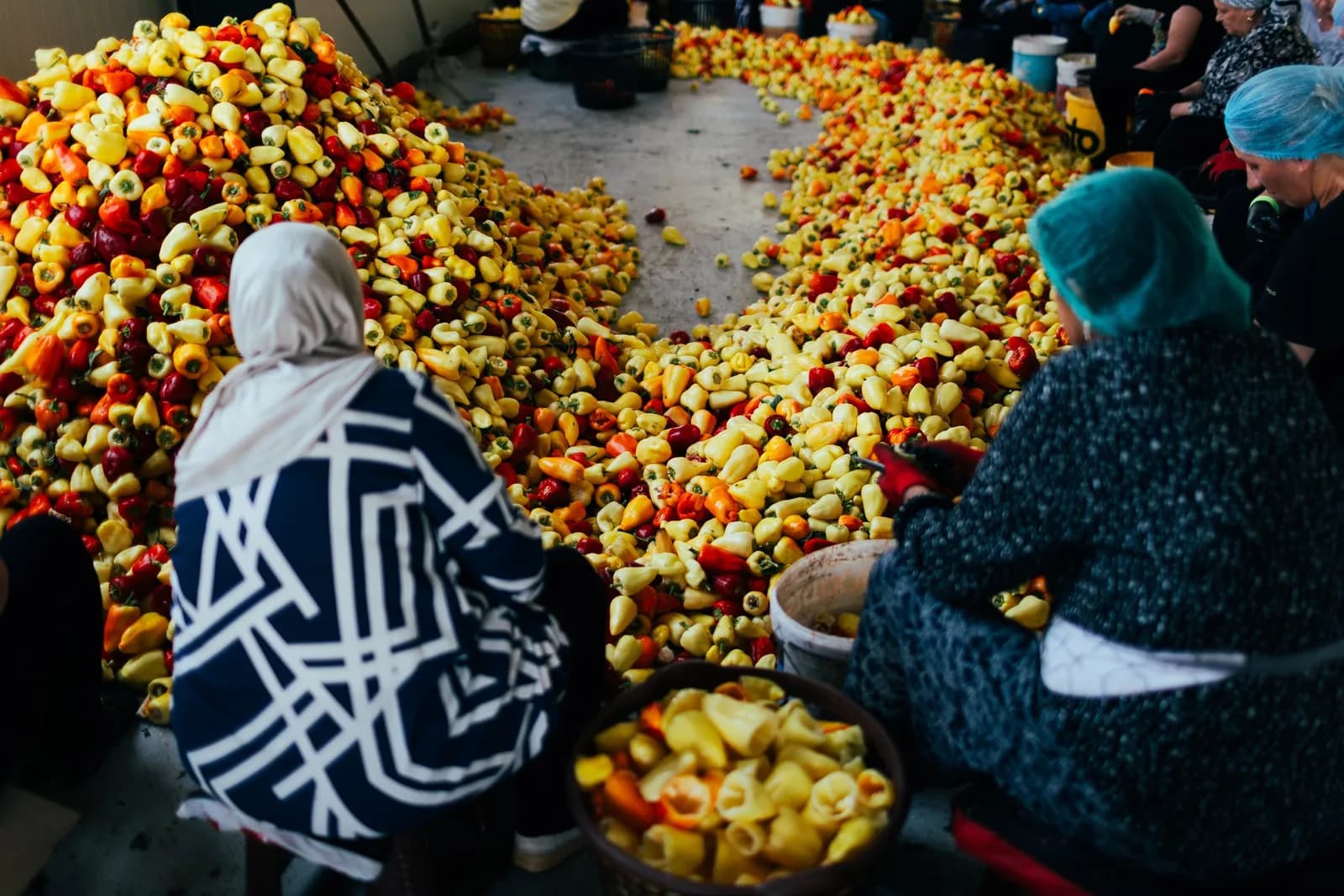 Two women sitting on the floor among a carpet of peppers.