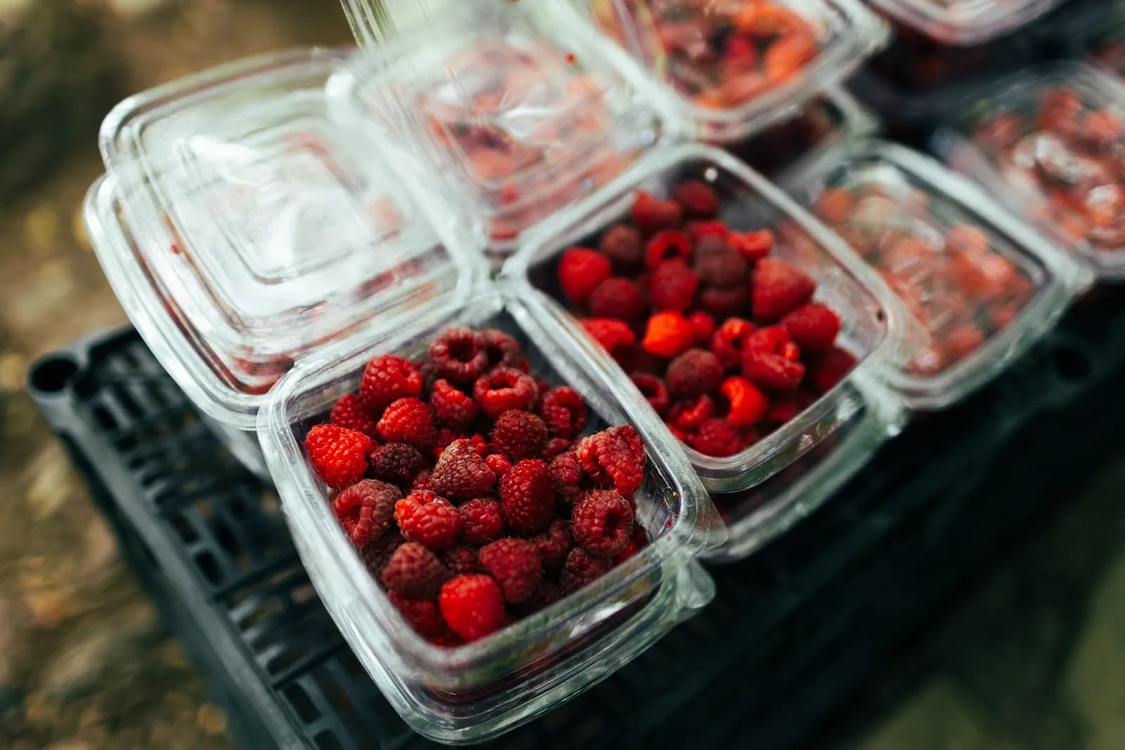 Plastic punnets of fresh raspberries.