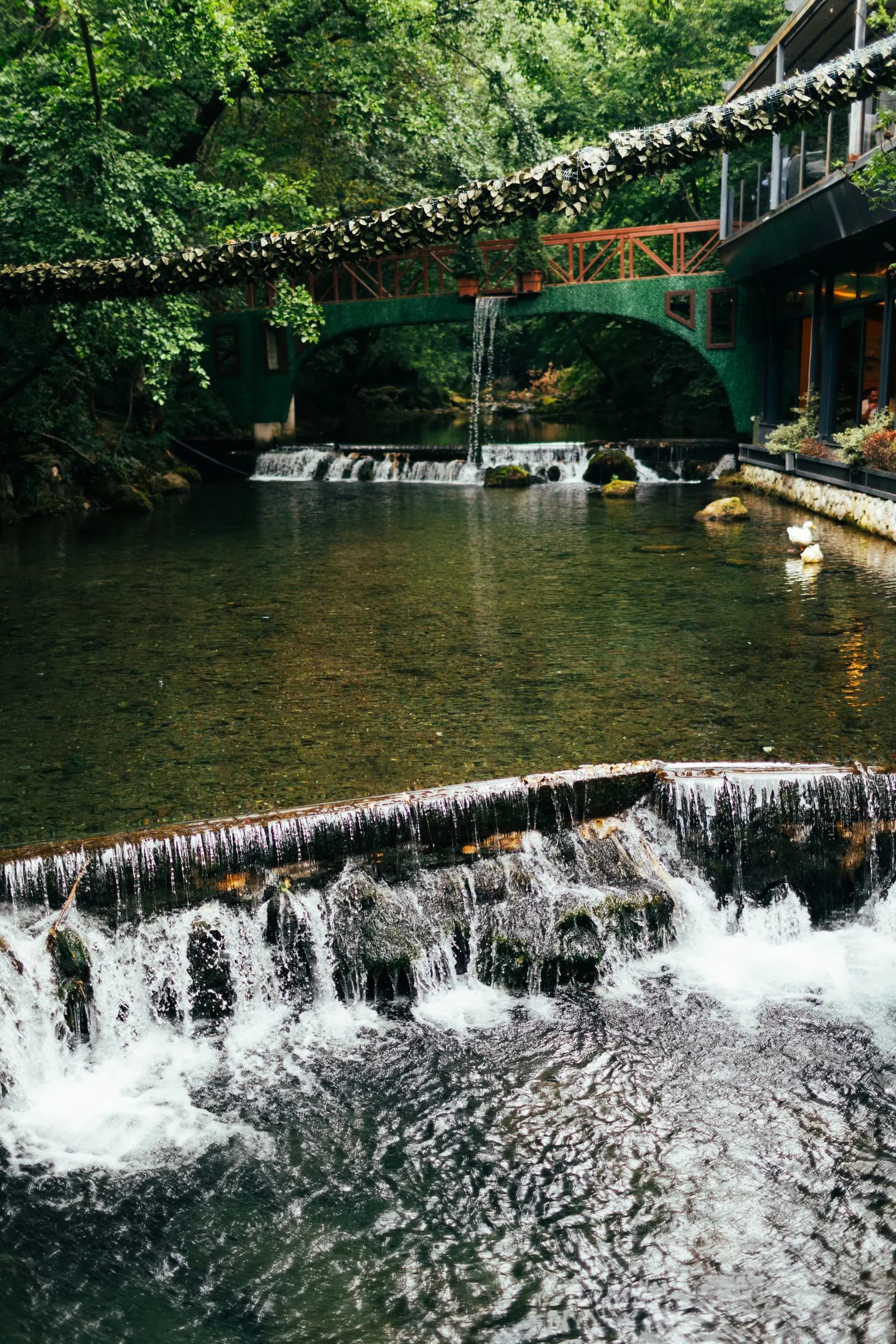 A small weir with white water beneath a bridge draped in foliage.